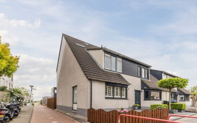 Heintje Davidspad 50