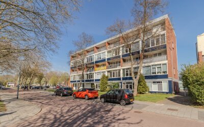 Zilverschoo. 7