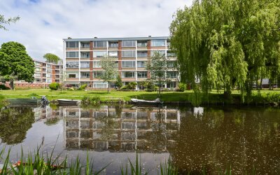 Leverkruidweg 221