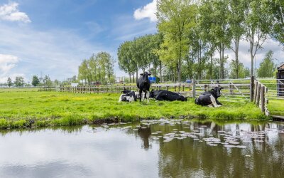 Leeghwaterweg 20-A