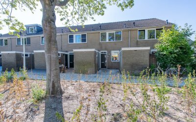Bolksbeek 33