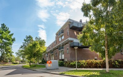 Hollandsch Diep 181