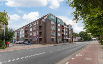 De Zetter 3