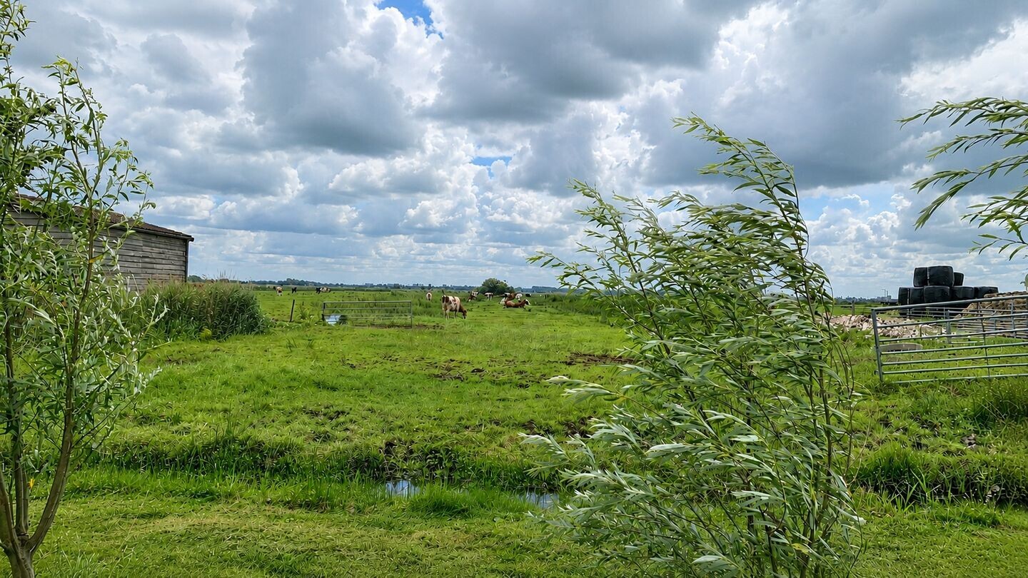 Vrijstaande woning te koop: Herenlaan 6, Wormer