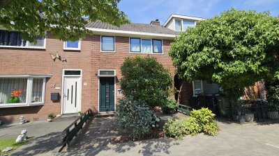 Tulpstraat 13