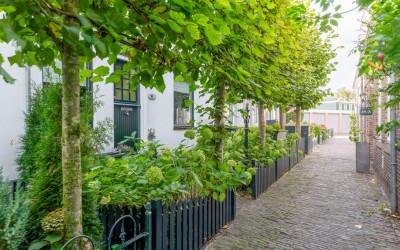 Jan de Wittestraat 95