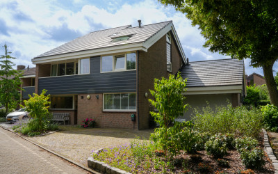 Rozeboom 50