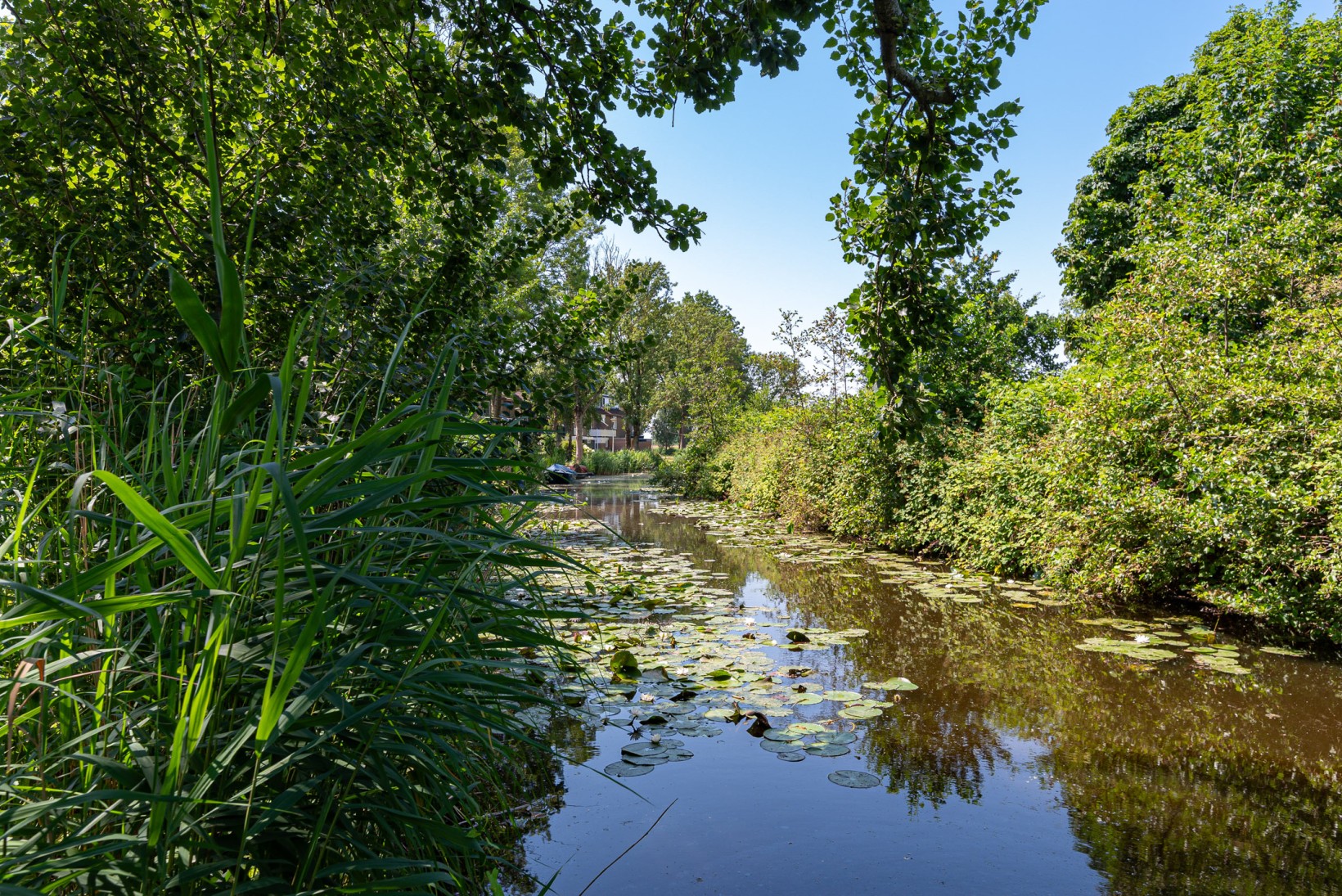 Hoekwoning te koop: Veeringzoom 24, Koog Aan De Zaan