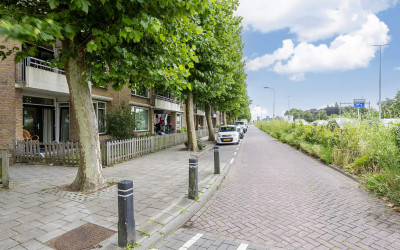 Plataanweg 36