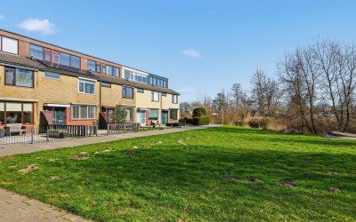 Harpstraat 49