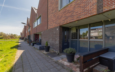 Maneschijn 31