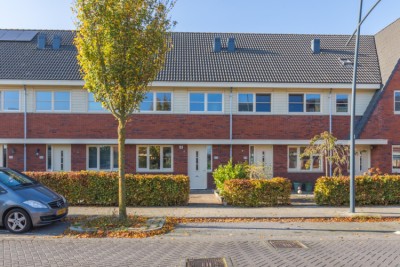 Witte Ring 117