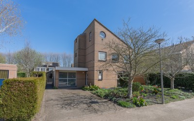 Ruiter 3