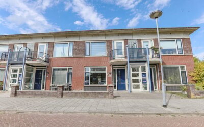 Roodborst 30