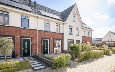 Winterkoning 30