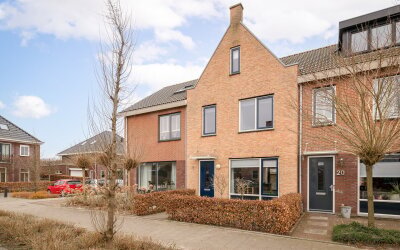 Goudreinet 22