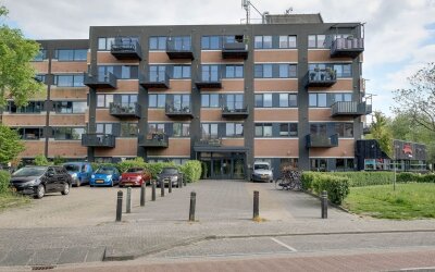 Zandsteen 111