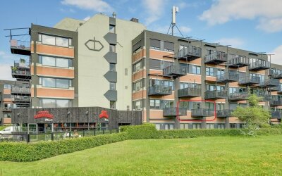 Zandsteen 58