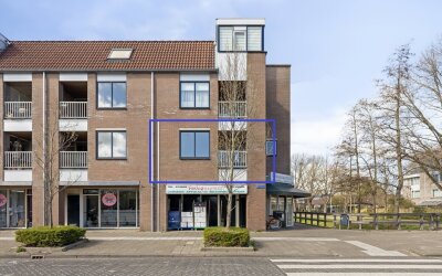 Reiger 67