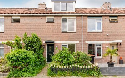 Reiger 133
