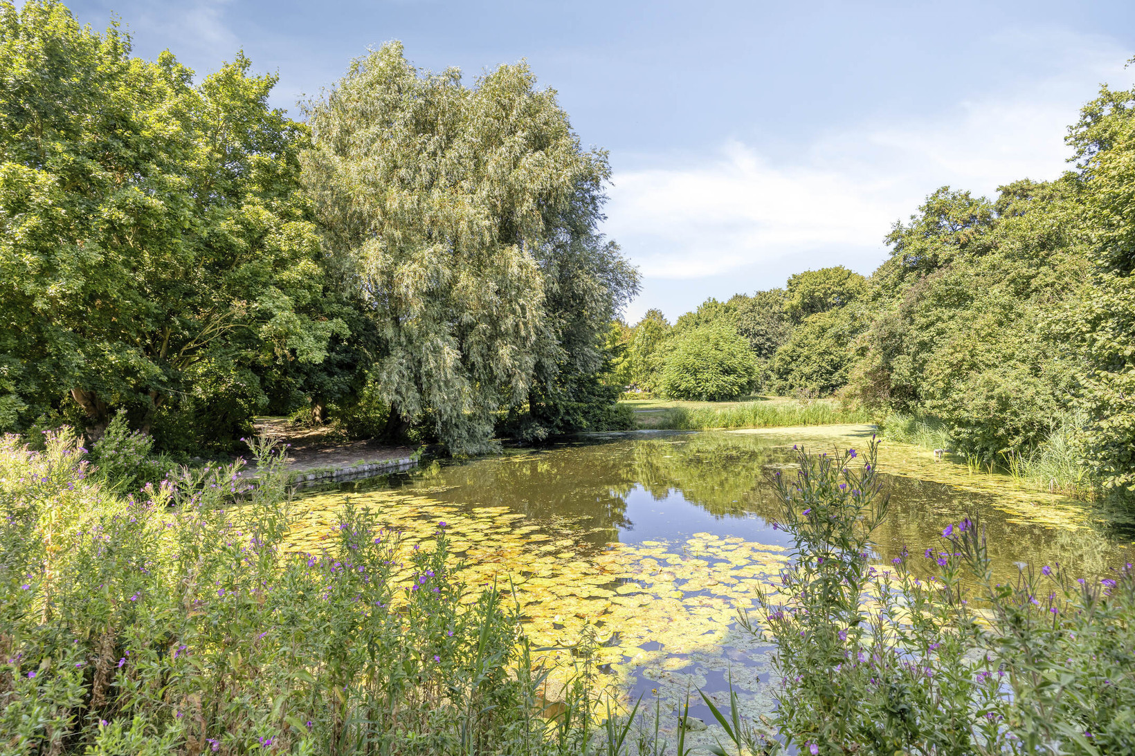 Tussenwoning te koop: Rietzanger 16, Hoorn