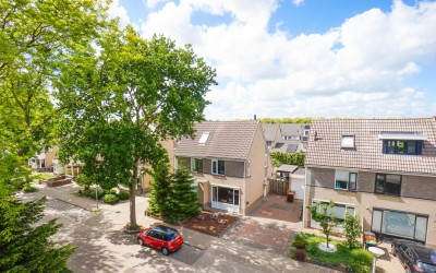 Dubloen 124
