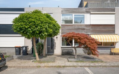 Groene Steen 41