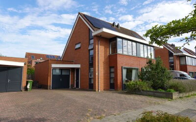 Rietgras 10