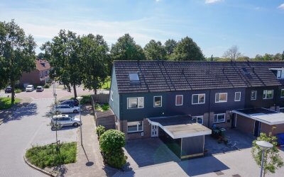 Zwanebloem 1