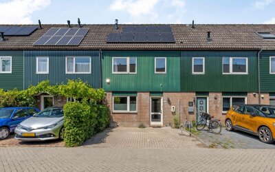 Zwanebloem 27