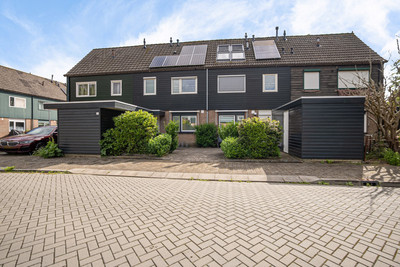 Zwanebloem 44