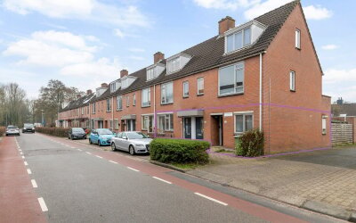 Paardebloem 25