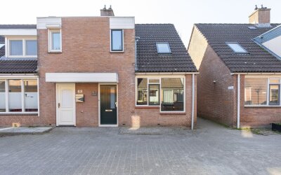 Paardebloem 67