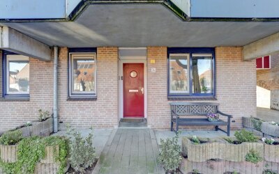 Korenbloem 34