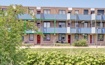 Korenbloem 36