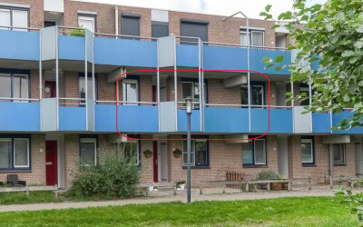 Korenbloem 38