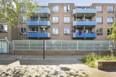 Korenbloem 66