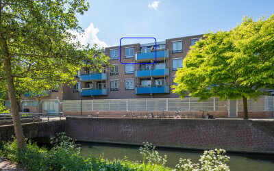 Korenbloem 74