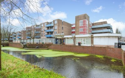 Korenbloem 102