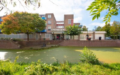 Korenbloem 92