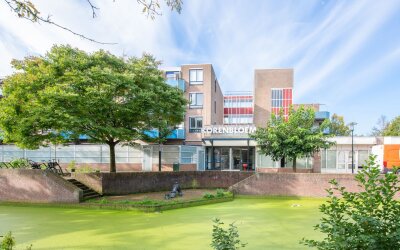 Korenbloem 94