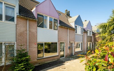 Ridderspoor 37