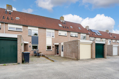 Ridderspoor 80