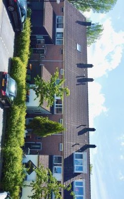 Dinkel 56