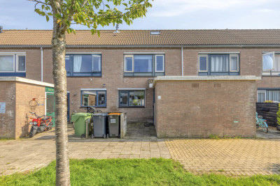 Dommel 40