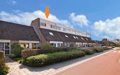 Amstel 84