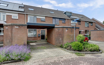 Houtzaagmol. 37