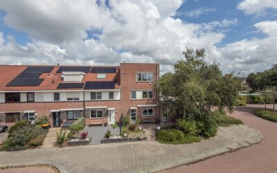 Zeearend 2
