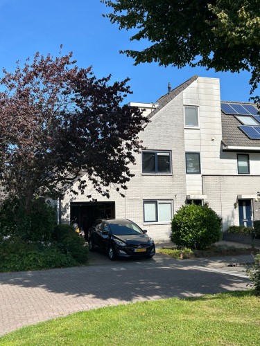 Woestijnvaraan 17