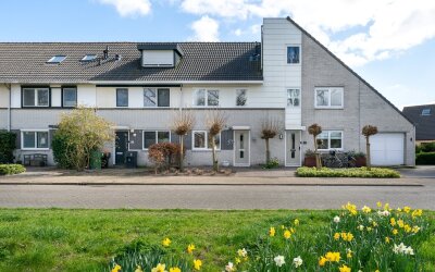 Woestijnvar. 57